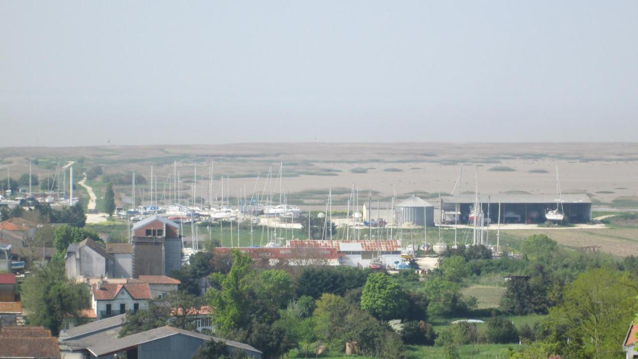 Grande maison charentaise avec vue sur le chenal superbes couchés de soleil sur l estuaire de la gironde! Mortagne-sur-Gironde Extérieur photo